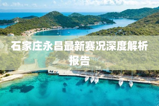 石家莊永昌最新賽況深度解析報告