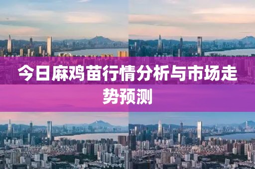 今日麻雞苗行情分析與市場走勢預(yù)測
