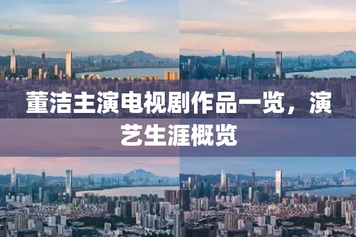 董潔主演電視劇作品一覽，演藝生涯概覽