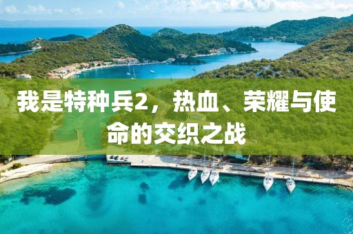 我是特種兵2,熱血、榮耀與使命的交織之戰(zhàn)