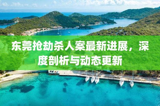 東莞搶劫殺人案最新進(jìn)展，深度剖析與動態(tài)更新