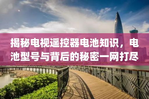 揭秘電視遙控器電池知識(shí)，電池型號(hào)與背后的秘密一網(wǎng)打盡