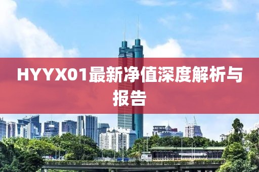 HYYX01最新凈值深度解析與報告