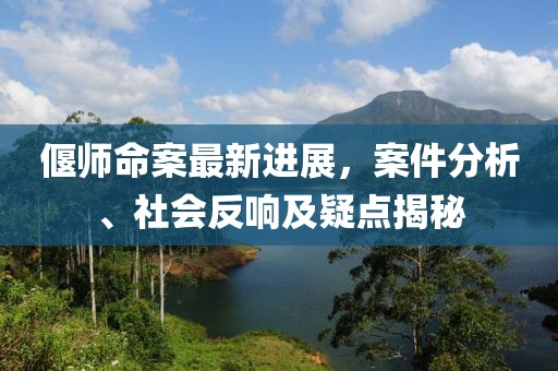 偃師命案最新進展,案件分析、社會反響及疑點揭秘
