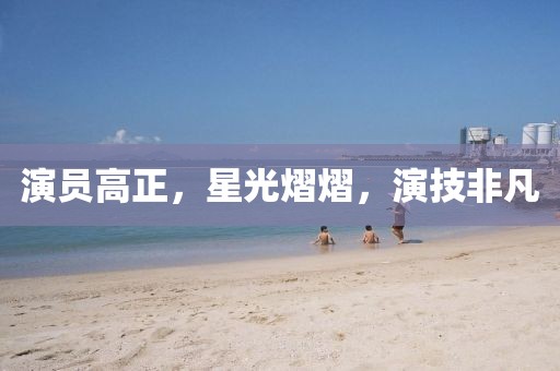 演員高正，星光熠熠，演技非凡