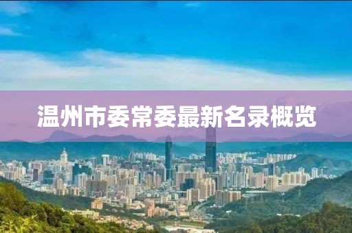溫州市委常委最新名錄概覽