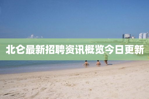 北侖最新招聘資訊概覽今日更新