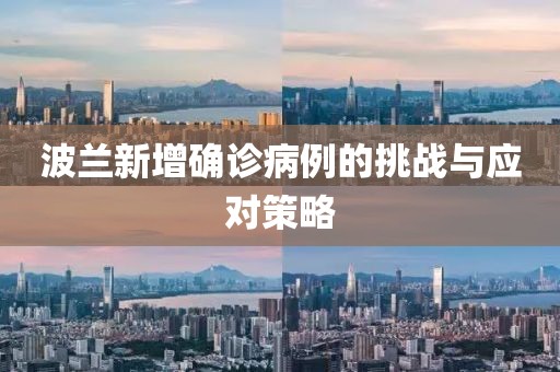 波蘭新增確診病例的挑戰(zhàn)與應(yīng)對(duì)策略