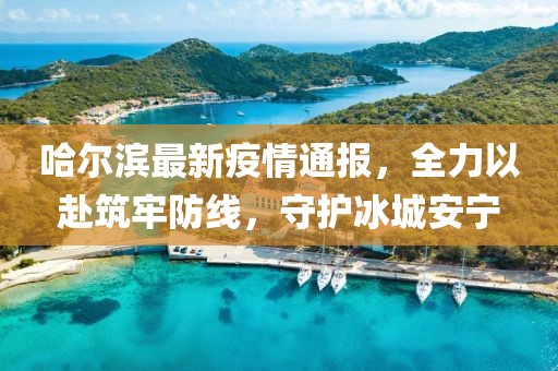 哈爾濱最新疫情通報(bào)，全力以赴筑牢防線，守護(hù)冰城安寧