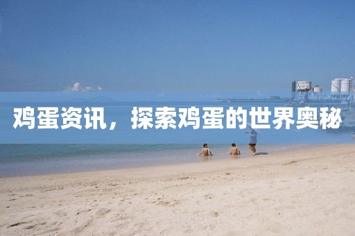 雞蛋資訊，探索雞蛋的世界奧秘