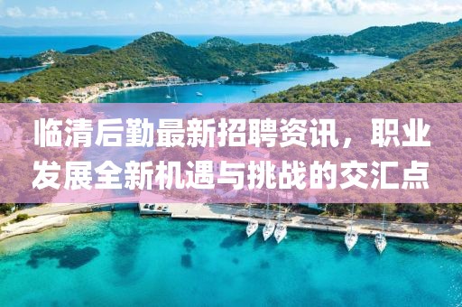 臨清后勤最新招聘資訊,職業(yè)發(fā)展全新機遇與挑戰(zhàn)的交匯點
