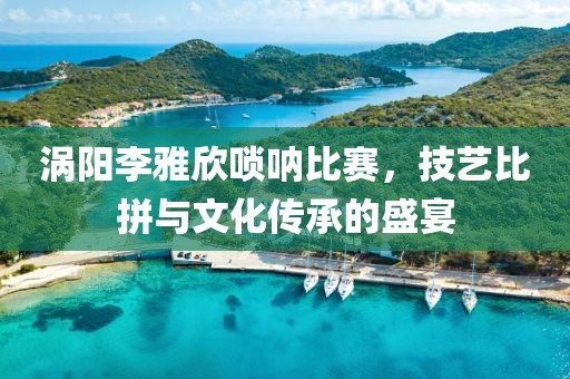 渦陽(yáng)李雅欣嗩吶比賽,技藝比拼與文化傳承的盛宴