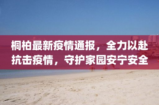 桐柏最新疫情通報，全力以赴抗擊疫情，守護家園安寧安全