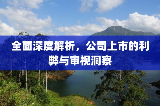 全面深度解析，公司上市的利弊與審視洞察