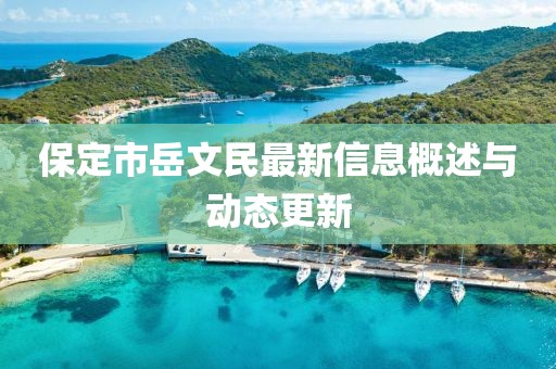保定市岳文民最新信息概述與動態(tài)更新