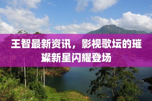 王智最新資訊，影視歌壇的璀璨新星閃耀登場(chǎng)
