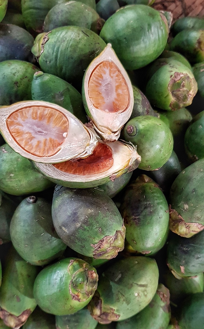 西瓜滯銷現(xiàn)狀揭秘,市場(chǎng)分析、原因探究與應(yīng)對(duì)策略