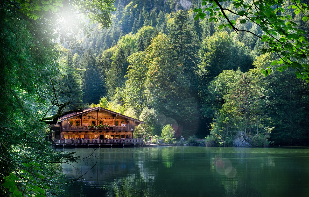 紹興最新資訊概覽,時(shí)事動(dòng)態(tài)一網(wǎng)打盡