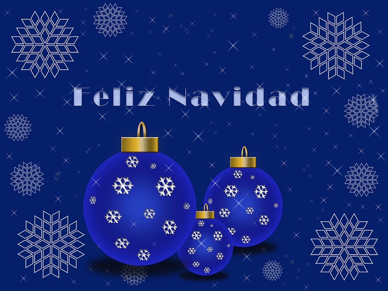 安吉麗卡最新資訊,探索明星世界的動(dòng)態(tài)更新