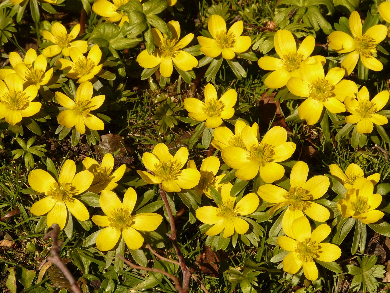 錦富技術(shù)引領(lǐng)行業(yè)創(chuàng)新，塑造未來科技格局新動(dòng)態(tài)