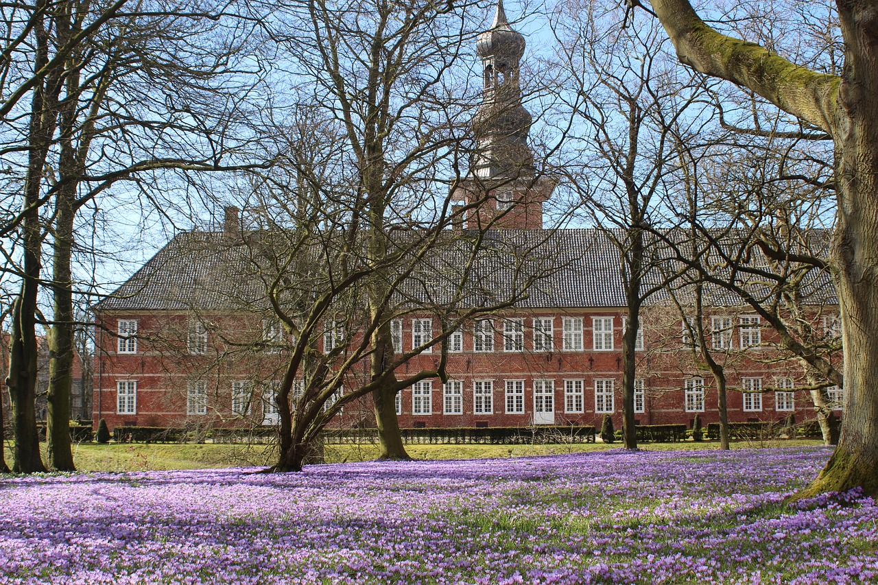 小村新鮮事揭秘,鄉(xiāng)村生活的驚喜與變遷