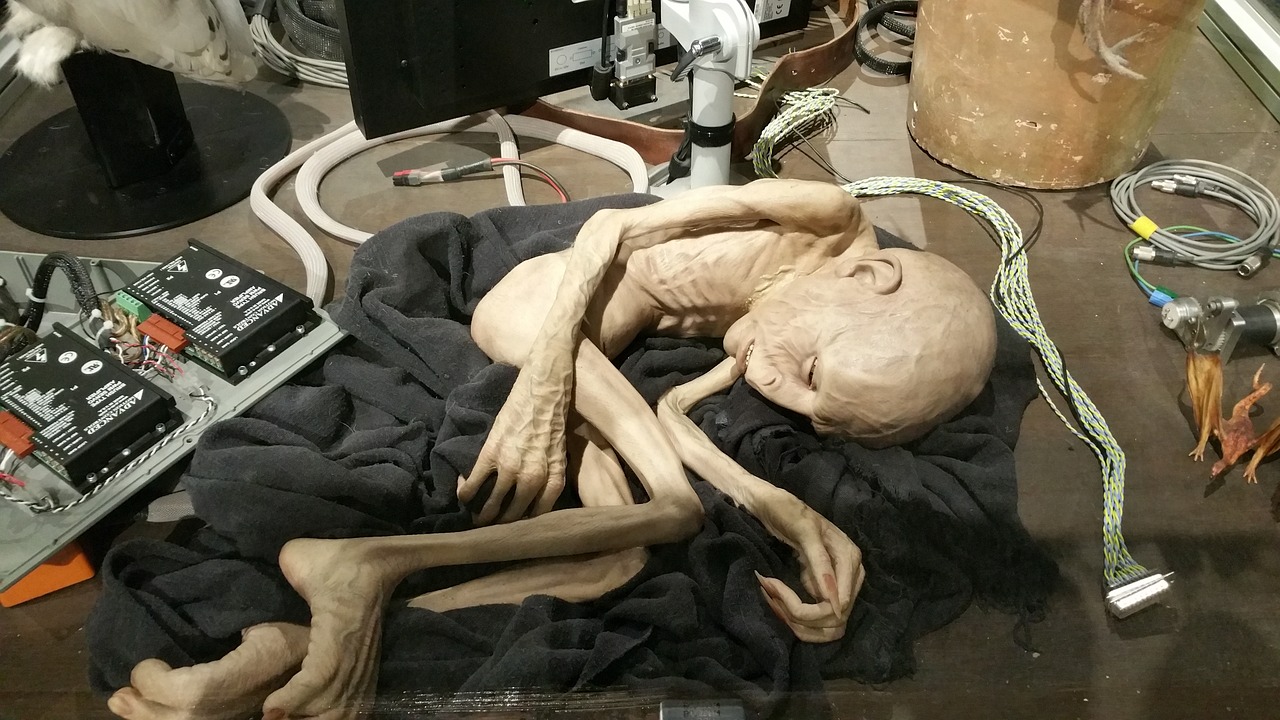 哈利波特的演員，熒幕傳奇之旅從魔法世界開始