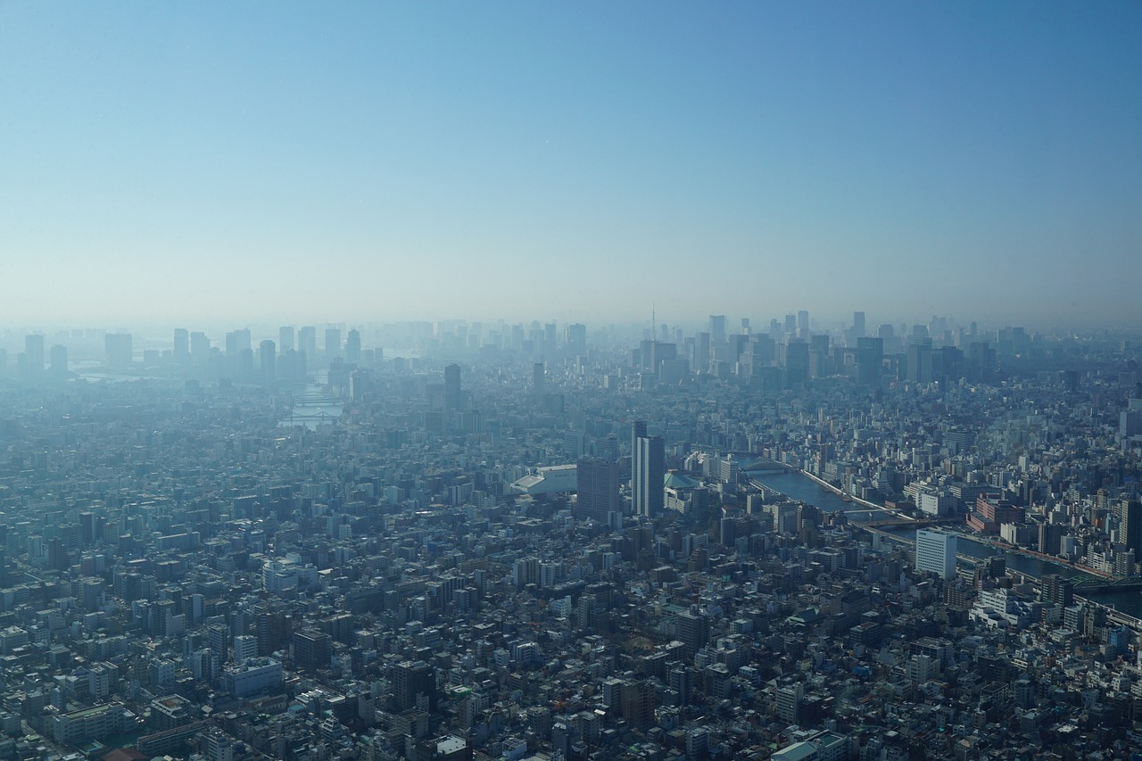 河南桐柏房市最新動態(tài)揭秘，市場趨勢、機遇與挑戰(zhàn)并存