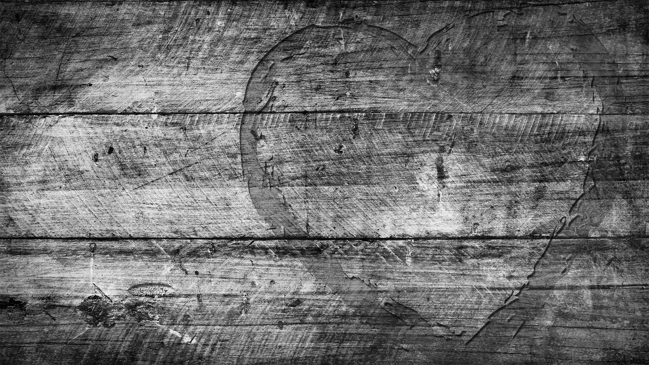 最新木材行情深度解析報(bào)告