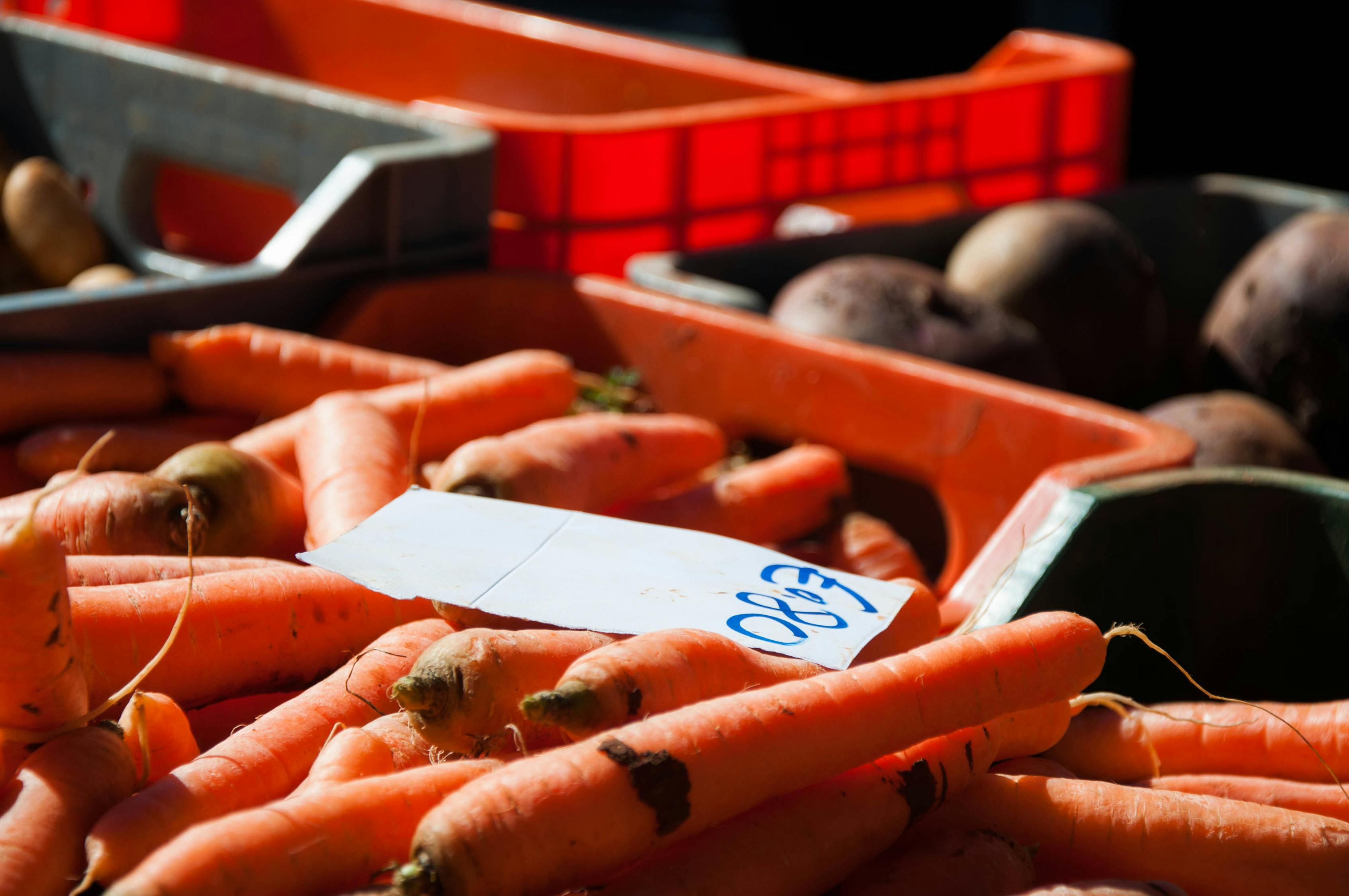 釣魚餌料批發(fā)價格的市場分析與探討