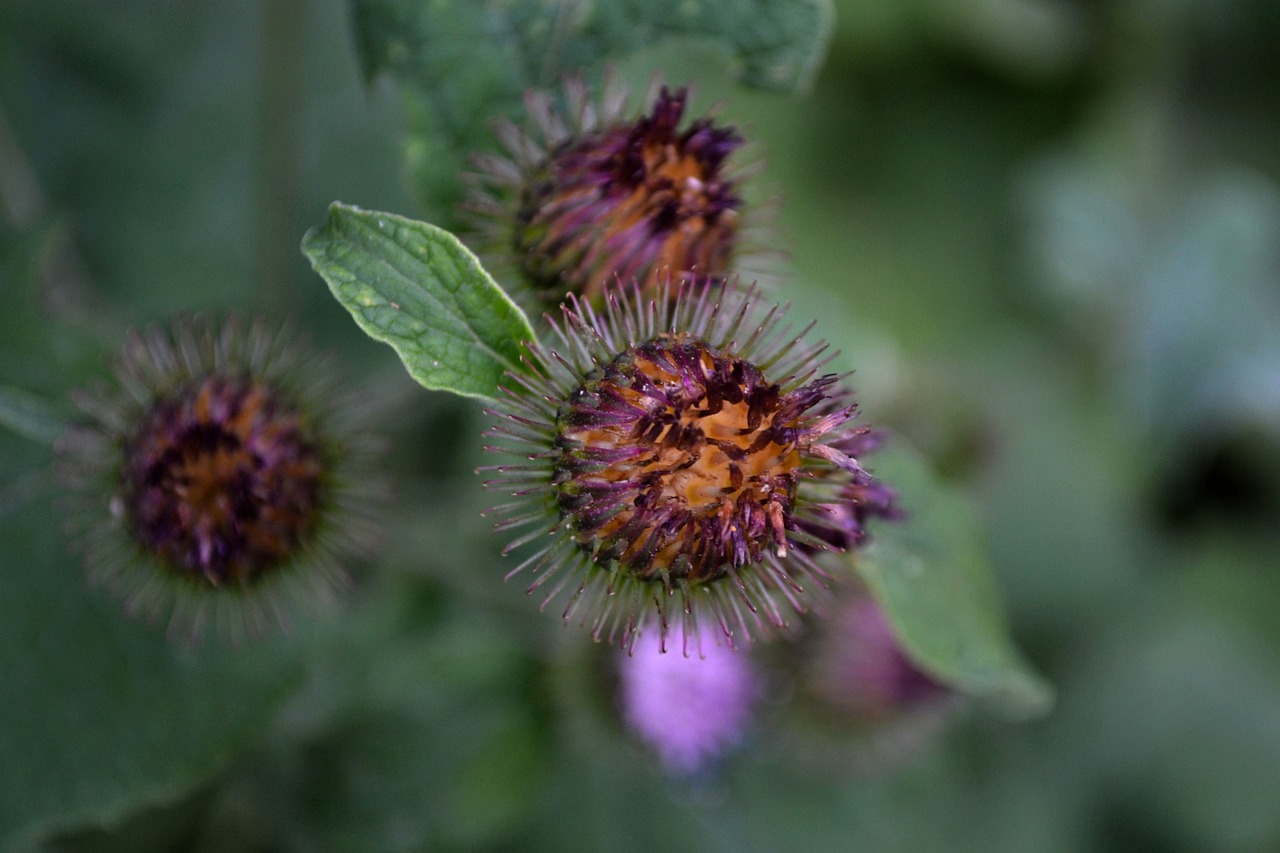 撫寧區(qū)朱各莊最新動態(tài)速遞
