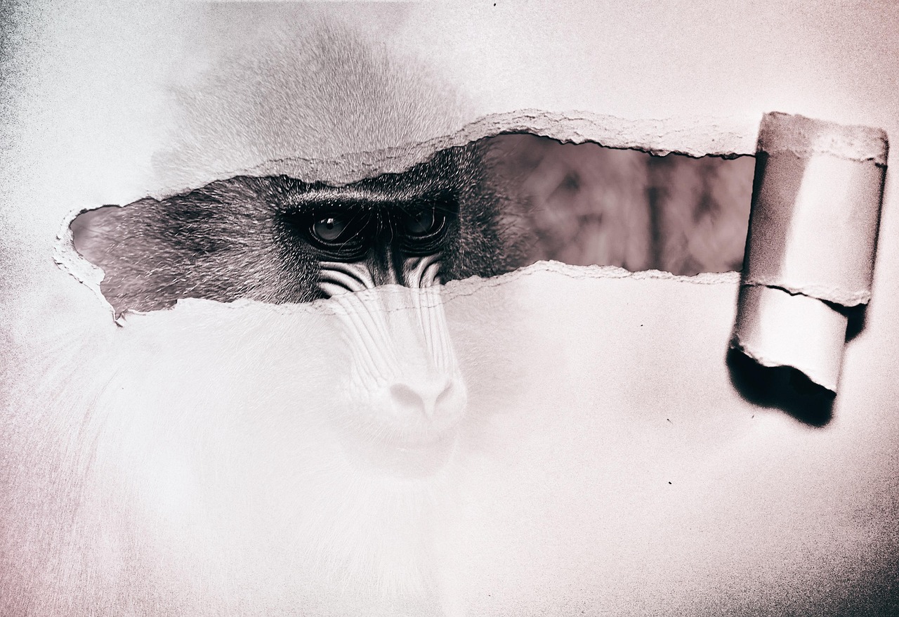 抽煙動漫頭像,獨特藝術表達與深層解讀