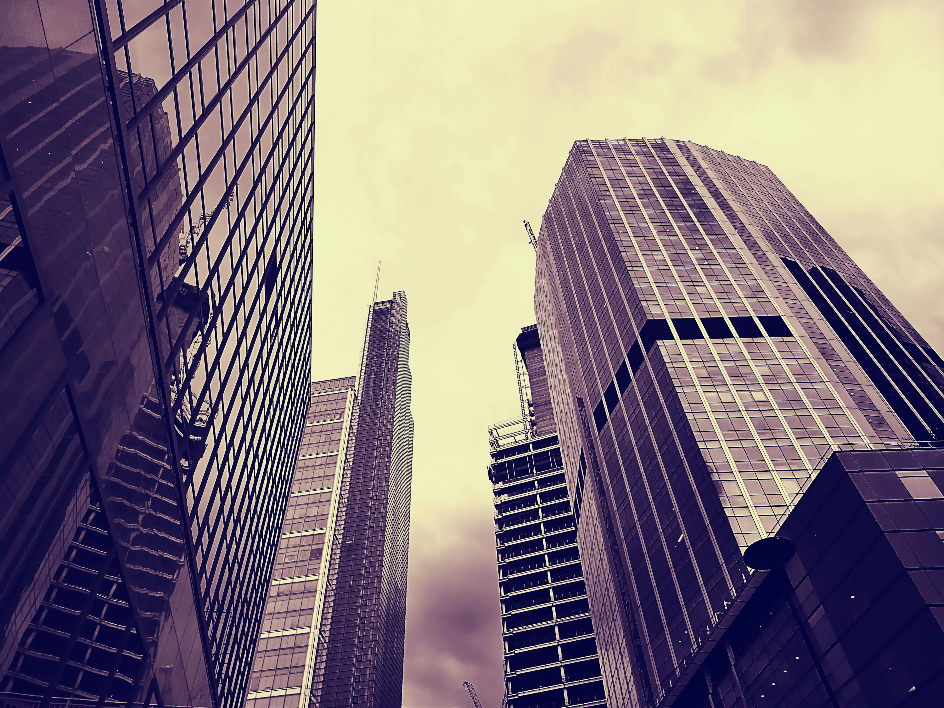 河源臨江新區(qū)最新資訊深度解析與報道