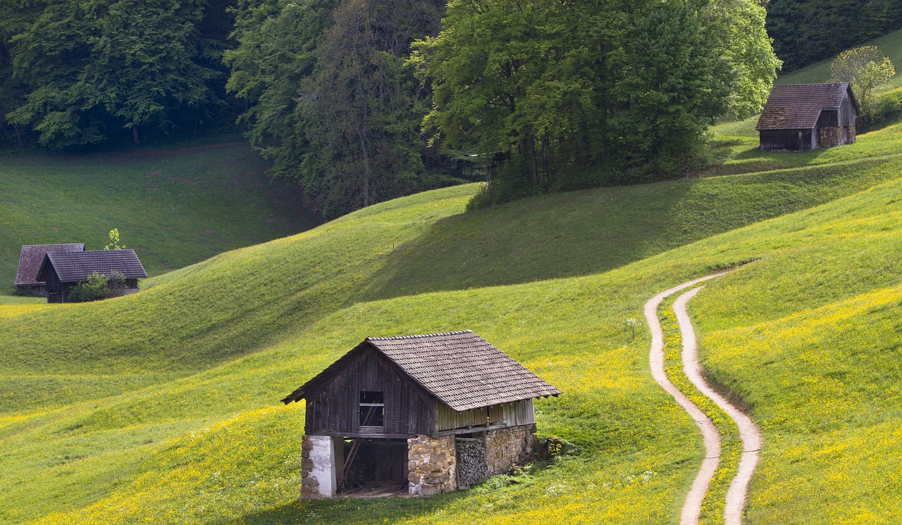 嫁接最新技術(shù)引領(lǐng)農(nóng)業(yè)綠色革命，創(chuàng)新科技助力農(nóng)業(yè)發(fā)展