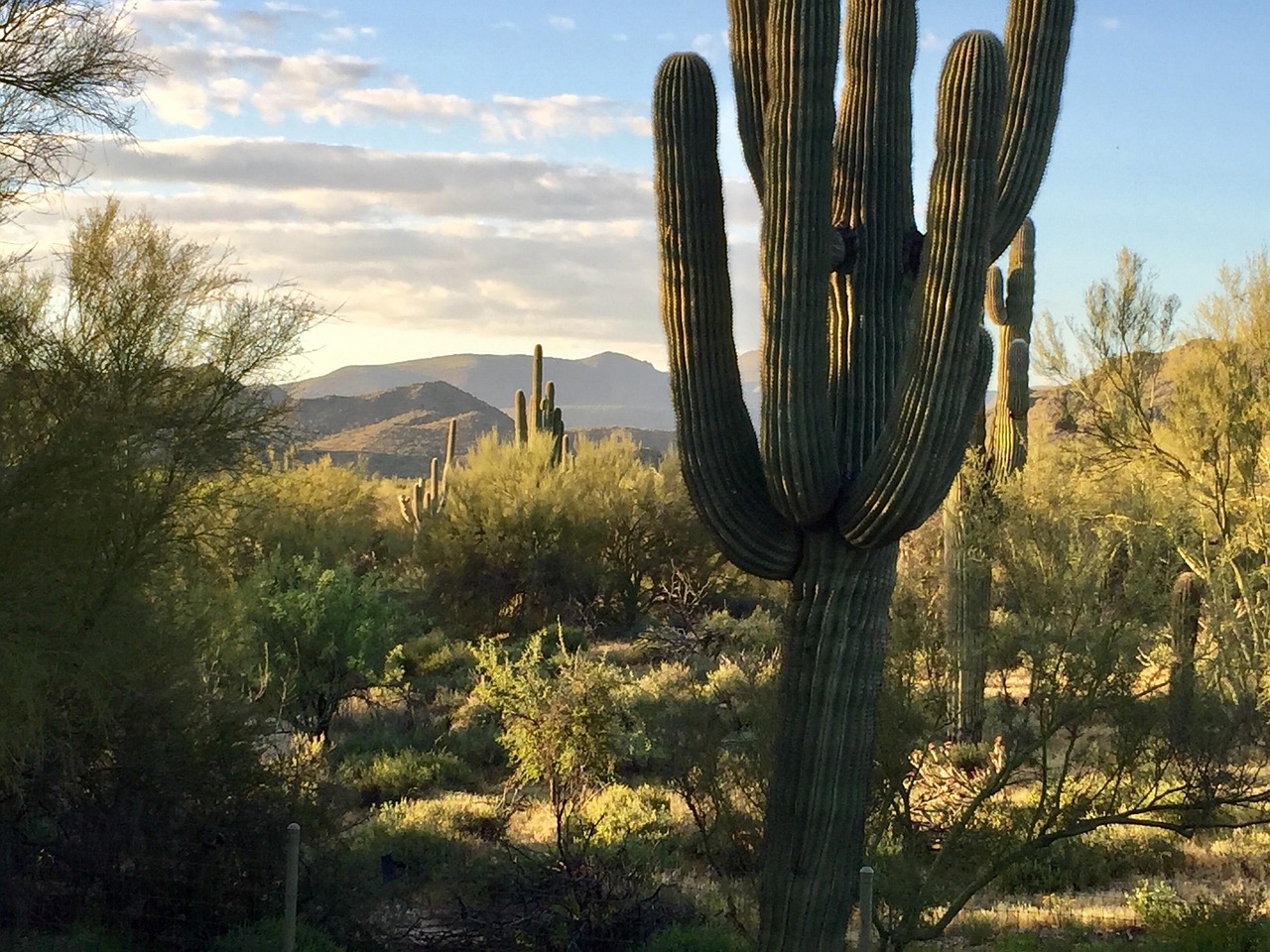 全球口罩動態(tài)與技術(shù)進(jìn)展最新資訊速遞