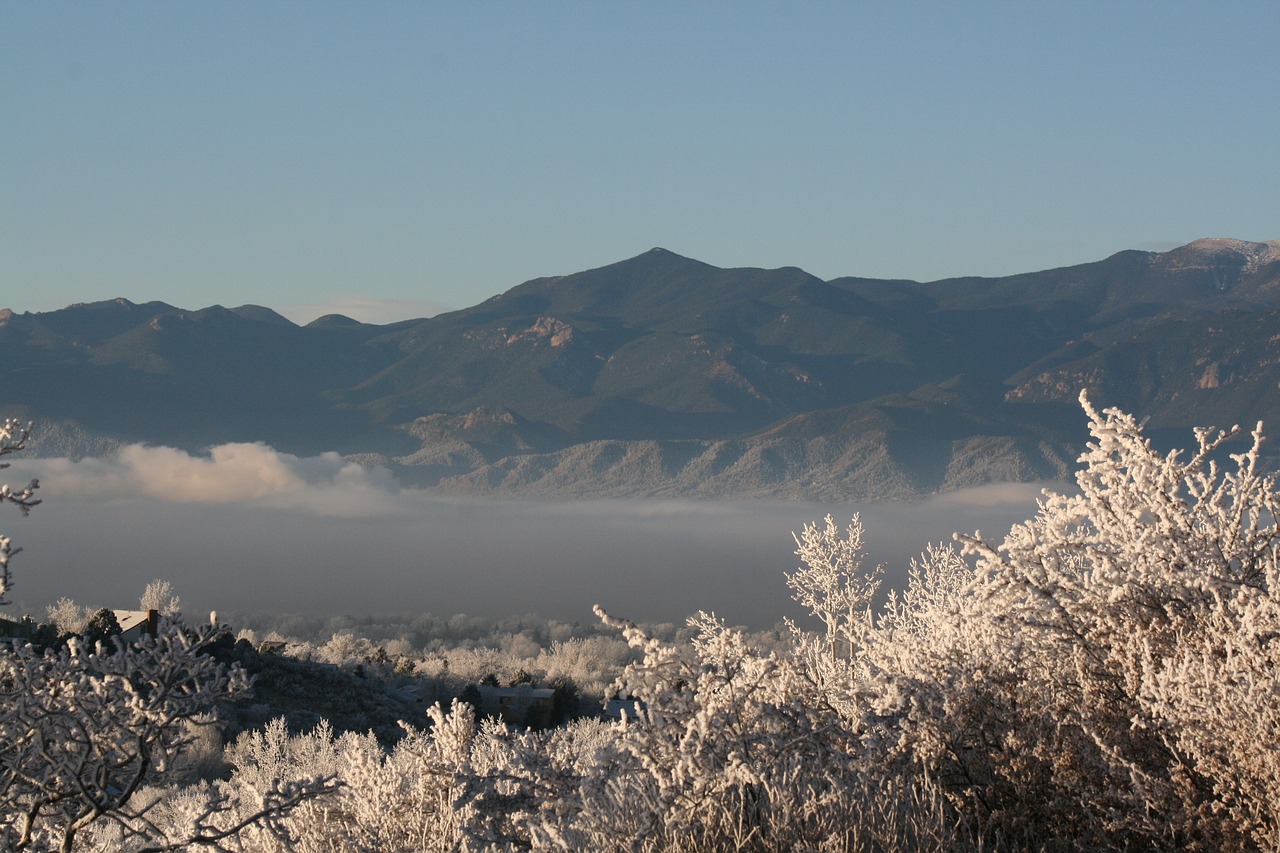 壽光景新園動態(tài)資訊,探尋自然之美,生態(tài)之旅體驗