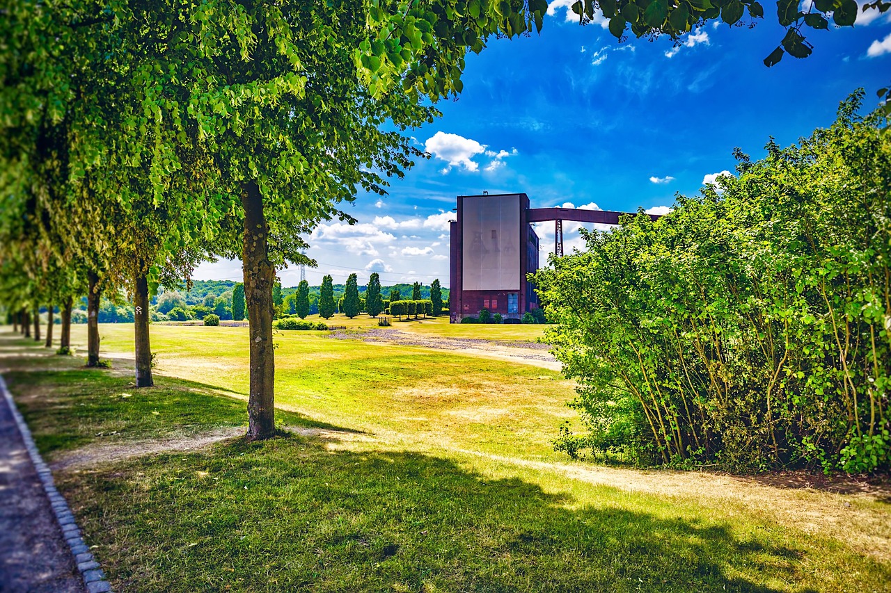 武平森林公園規(guī)劃選址揭曉,綠色生態(tài)新地標(biāo)打造啟動(dòng)