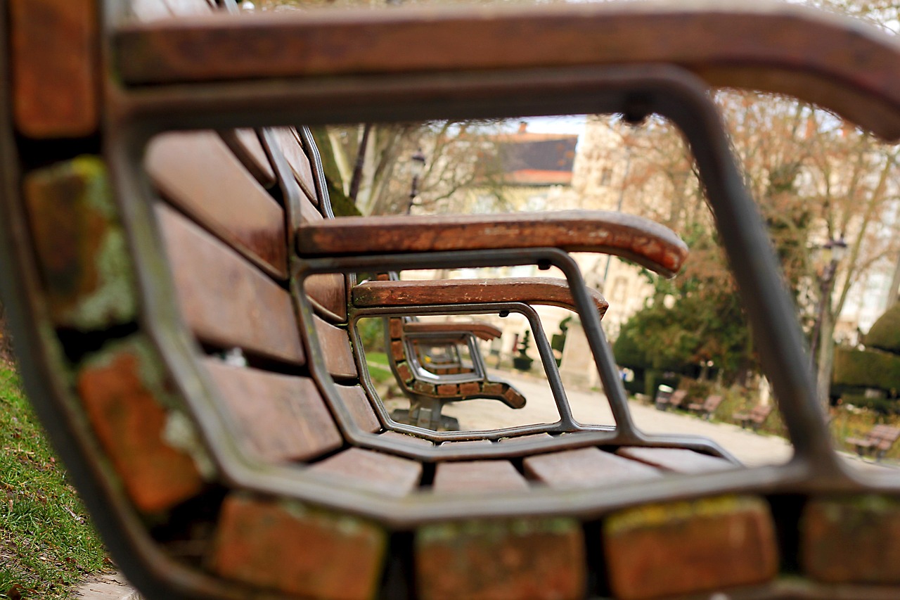 奉化設(shè)區(qū)最新動態(tài)，城市發(fā)展的嶄新篇章開啟