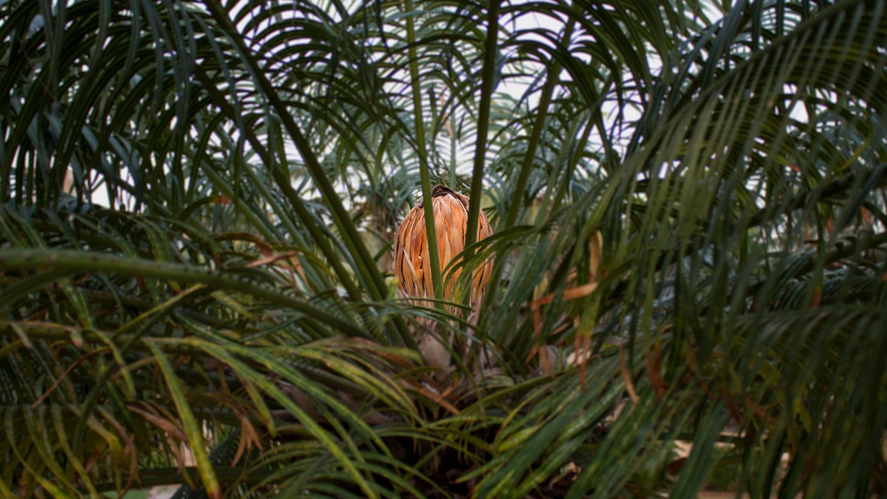 衛(wèi)光生物引領(lǐng)生物技術(shù)新潮流,助力健康產(chǎn)業(yè)新發(fā)展最新動(dòng)態(tài)