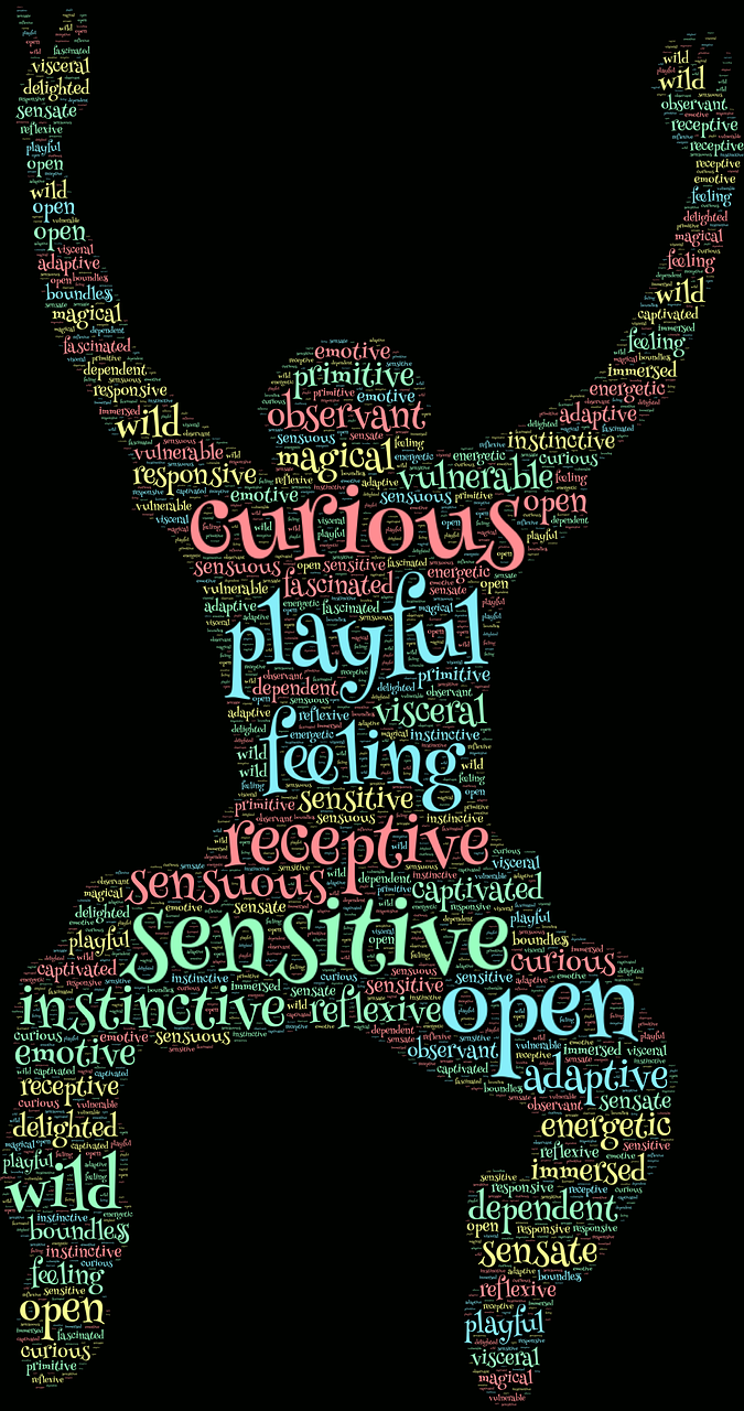 我的英語(yǔ)老師與電影，跨越語(yǔ)言文化的奇妙探秘之旅