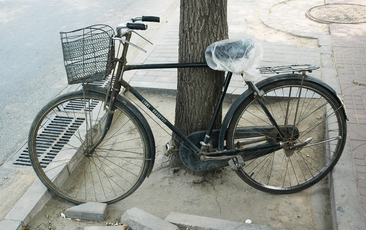 成縣最新資訊概覽,掌握成縣動態(tài),一覽無遺!