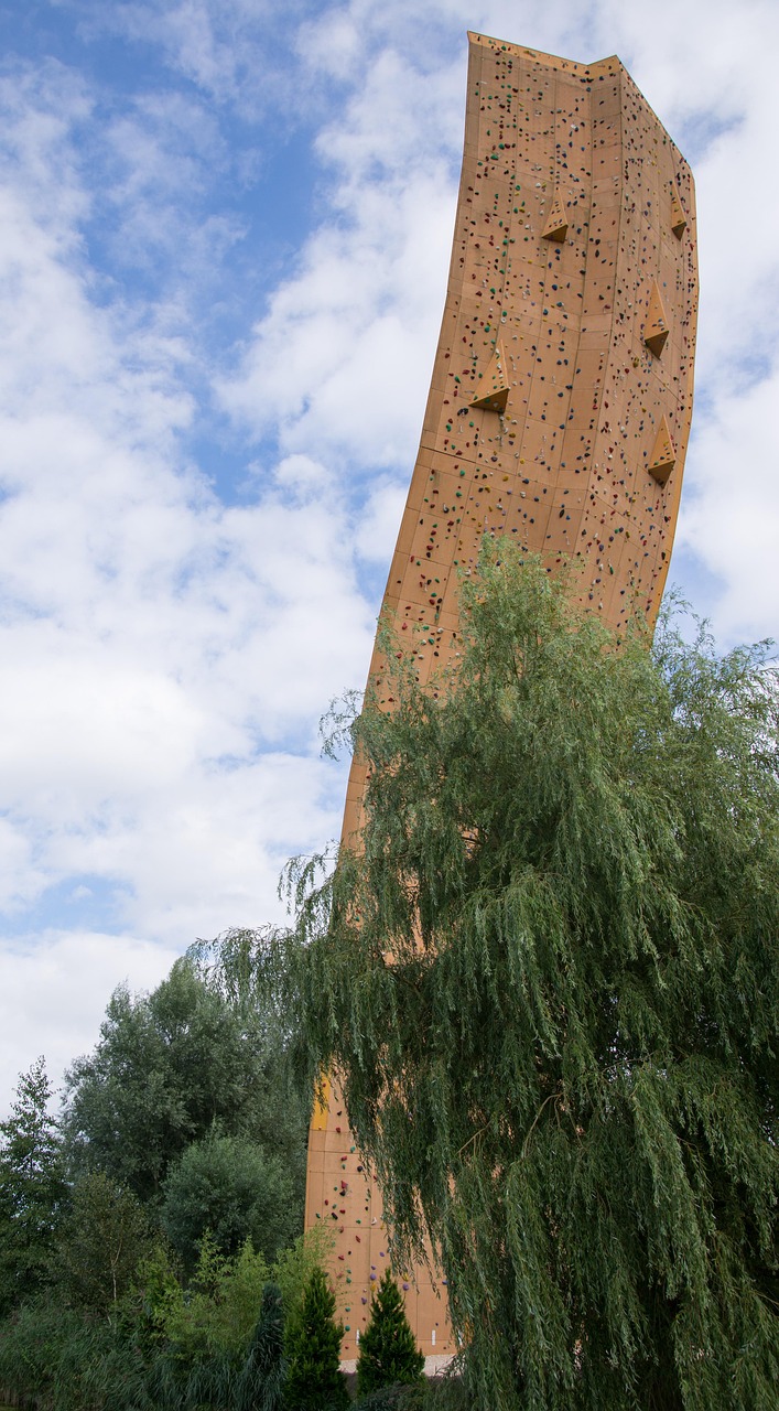 金磊的最新動(dòng)態(tài)與成就概覽