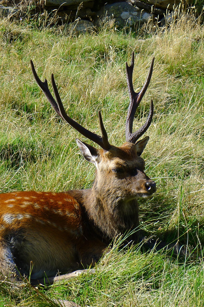 2025年2月 第443頁