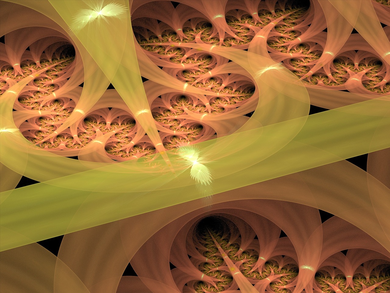 冷菜廚師拼盤(pán)比賽照片,技藝與創(chuàng)意的絕妙展現(xiàn)