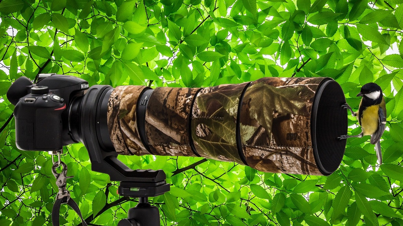 探索最新網絡熱點與動態(tài)圖像的魅力，513熱點動態(tài)圖網更新