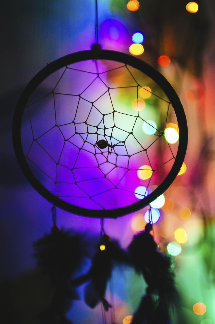 上海射箭比賽,箭舞風(fēng)云,夢啟浦江之夜