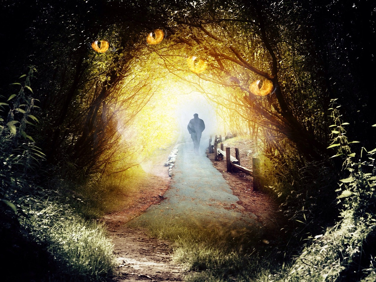 動漫圖片暗黑世界，探索神秘與深邃的藝術(shù)之旅