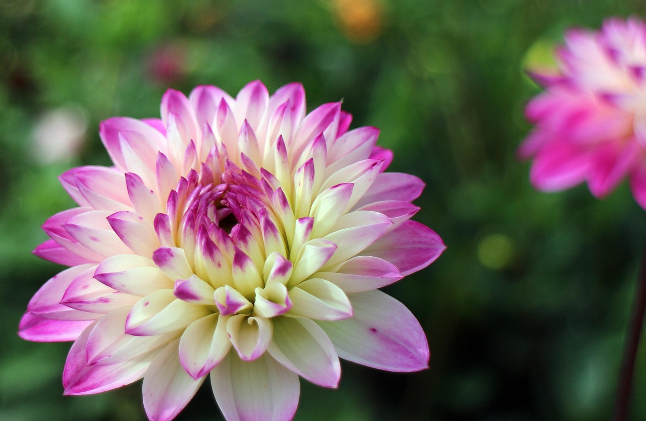 最新款百年好合十字繡，傳統(tǒng)與現(xiàn)代的完美融合