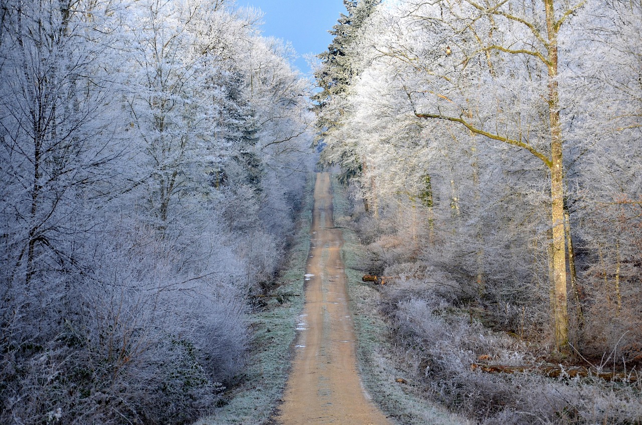最新地質(zhì)紀元探索，地球新時代的奧秘