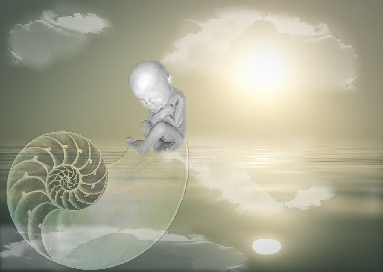 最新兒童電影上映，點亮孩子視界，溫暖心靈之旅