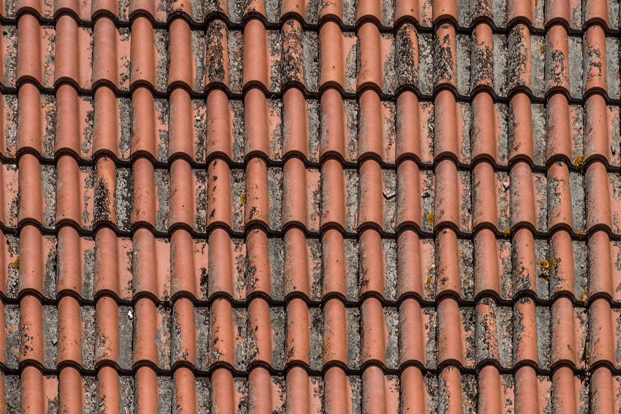 新勝利大街建設(shè)最新動(dòng)態(tài)